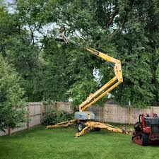 Best Firewood Processing and Delivery  in Stanton, TX