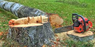 Best Lawn Dethatching  in Stanton, TX