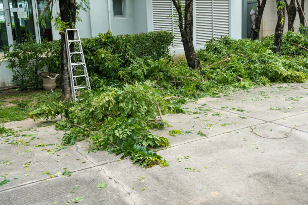 Best Emergency Tree Removal  in Stanton, TX